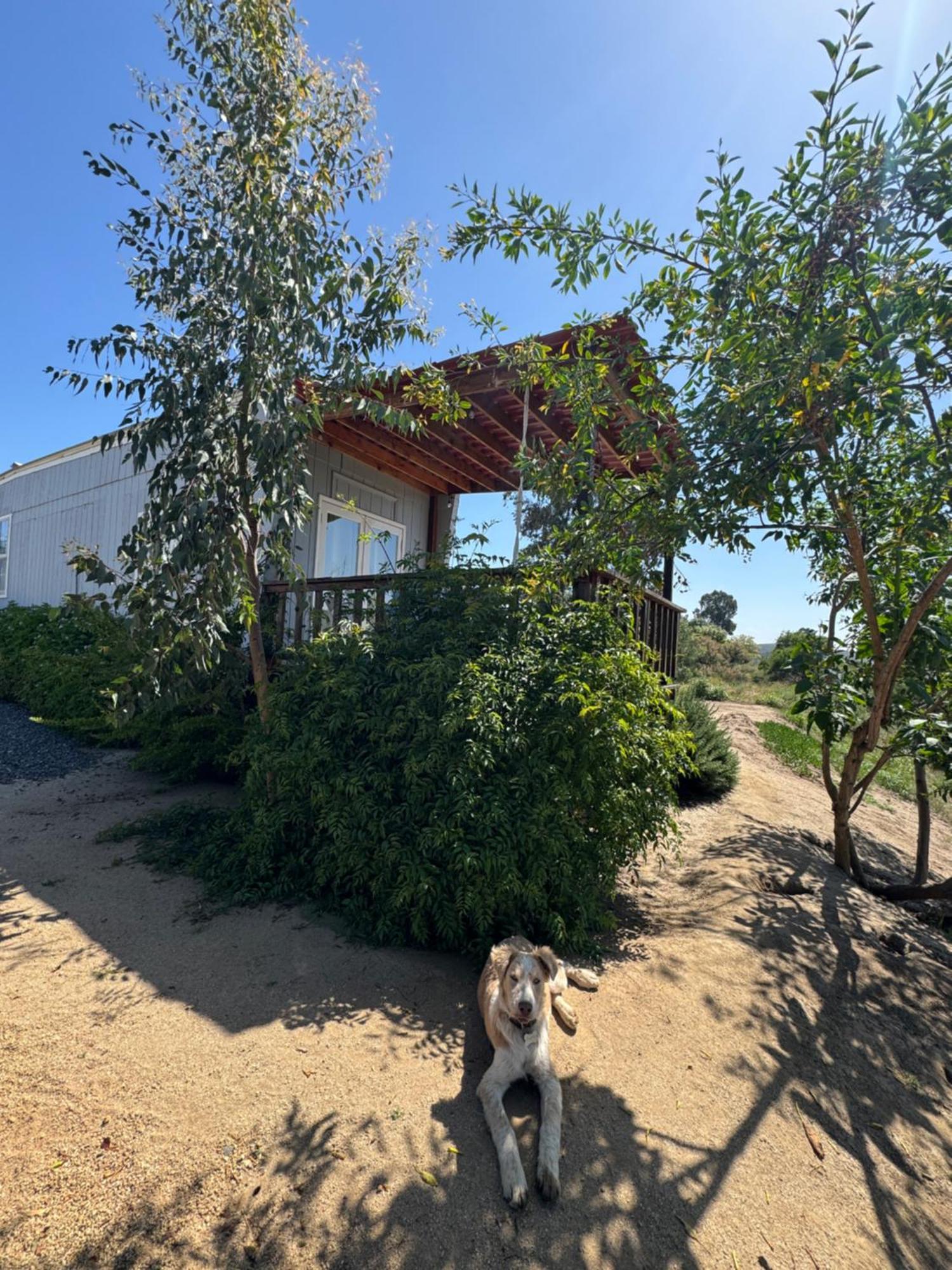 Rancho Dominique Valle De Guadalupe Exterior photo